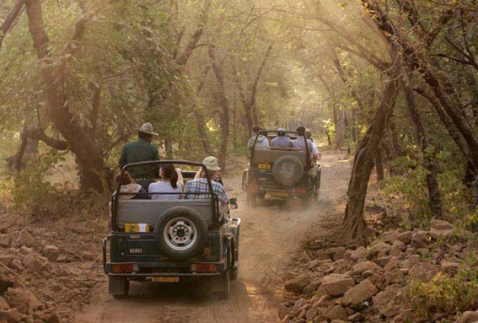 Jim Corbett National Park