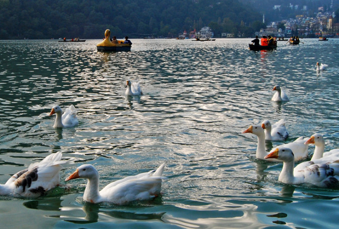 Nainital-hobo-holidays