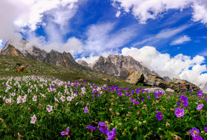 valley-of-flower
